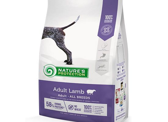 Adult Lamb