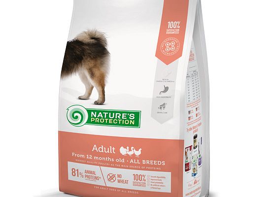 Adult Medium all breeds