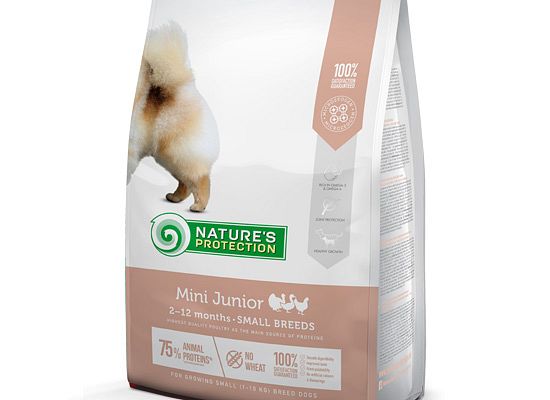 Junior Mini