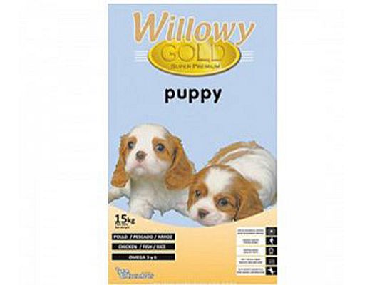 Gold puppy