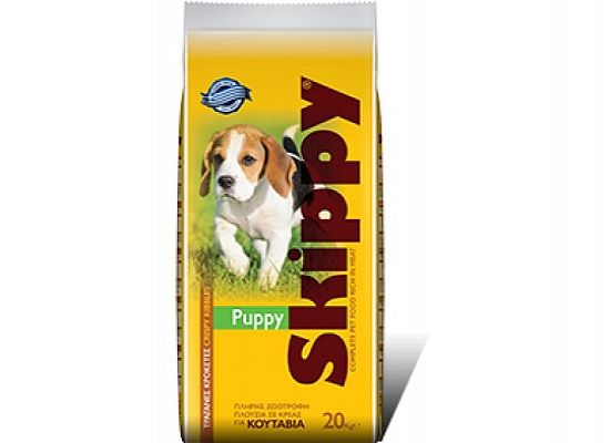 Puppy.