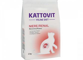 Kidney Renal Failure