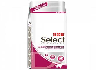 Gastrointestinal Digestion  Veterinary Diet