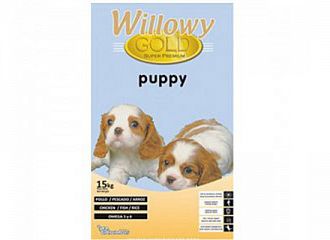 Gold puppy