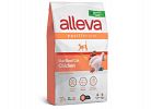 Equilibrium Chicken Sterilized Cat